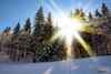 beautiful-sunny-winter-landscape-190924.jpg