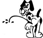 cane che fa pipì+.jpg