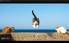 Screenshot_2022-08-23-01-23-27.png