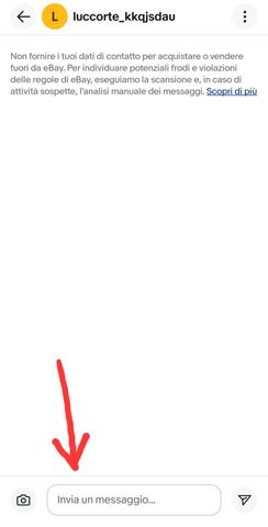 Immagine WhatsApp 2025-07-07 ore 20.51.00_bb0328d0.jpg