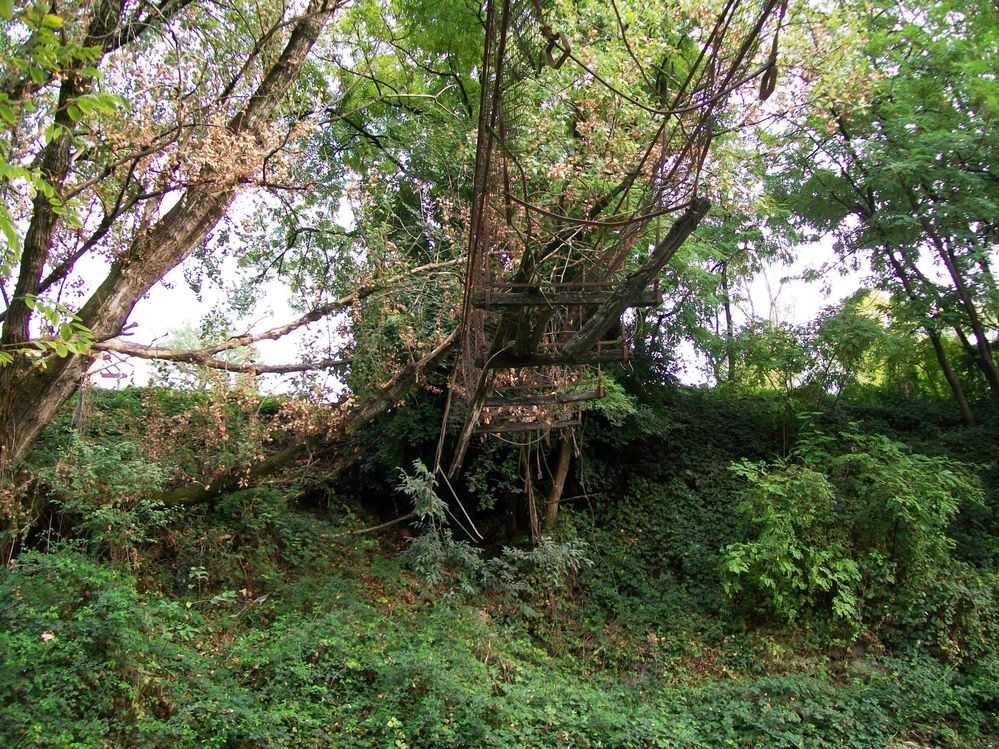Immagine 060.jpg