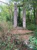 Immagine 054.jpg