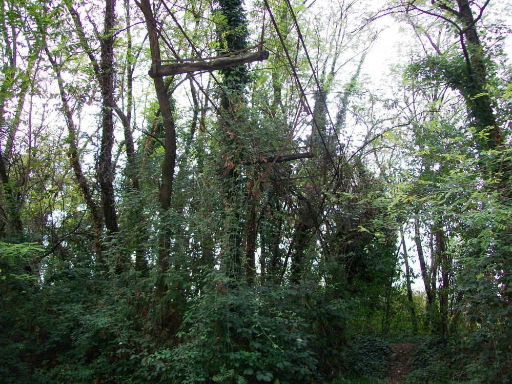 Immagine 061.jpg