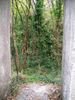 Immagine 055.jpg