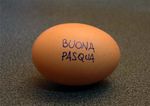 pasqua-2009.jpg