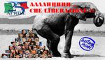 cacca_di_elefante1.jpg