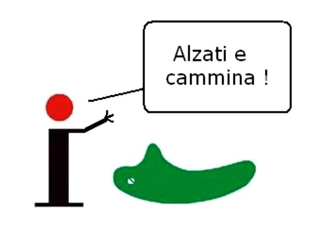 alzaticammina.jpg