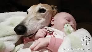 CANE E BIMBO.jpg