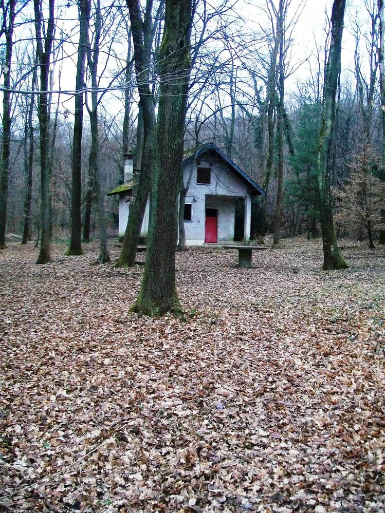 Immagine 043.jpg