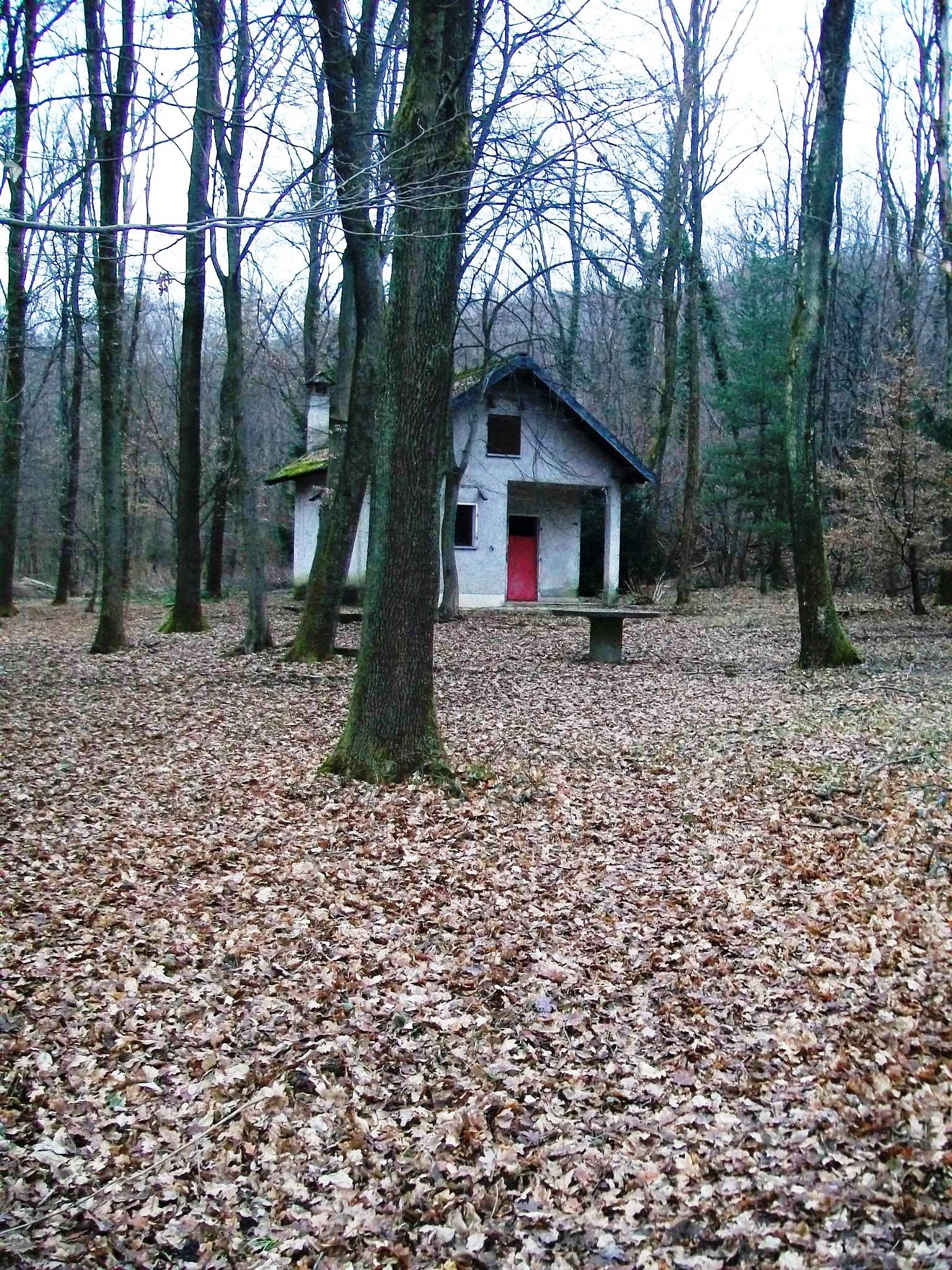 Immagine 043.jpg