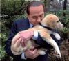 cane e berluscone.jpg