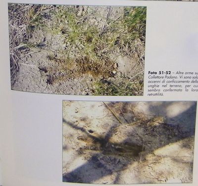 104_1143.jpg