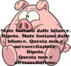 Fat Pig2343.jpg