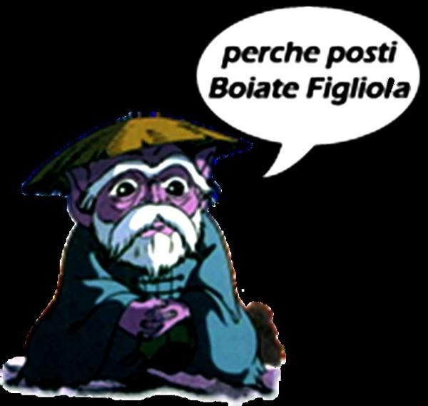 BOIATE 2.jpg