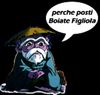 BOIATE 2.jpg