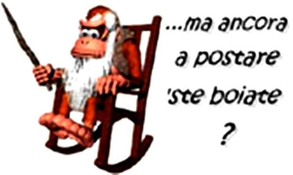 BOIATE 3.jpg