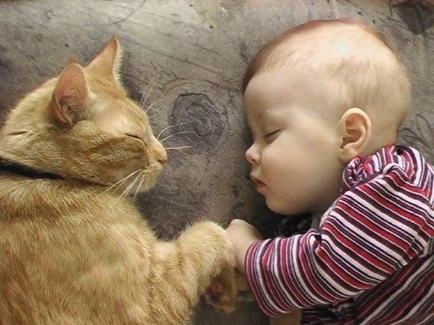 gatto-bambino-dormono.jpg