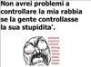 stupid.jpg