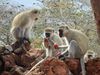 arusha_5vms9.T0.jpg