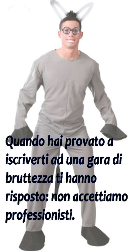 costume-asino.jpg