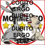 Movimento_5stelle-.jpg