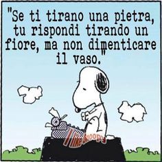 tira il vaso.jpg
