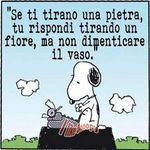 tira il vaso.jpg