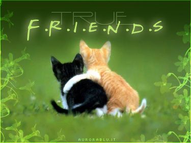 truefriends1dr8.jpg
