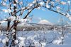 inverno-nella-kamchatka.jpg