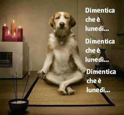 dimentica il lunedi.jpg