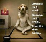 dimentica il lunedi.jpg