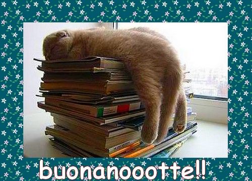buonanoches.jpg