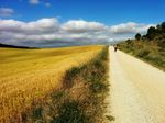 IMG_20140610_095805.jpg