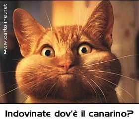 demenziali_310703_20.jpg
