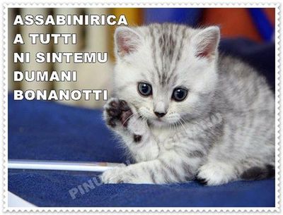 bonanotti.jpg