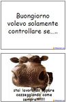 buongiorno-3.jpg