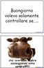 buongiorno-3.jpg