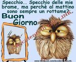 buongiorno.jpg