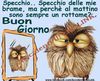 buongiorno.jpg