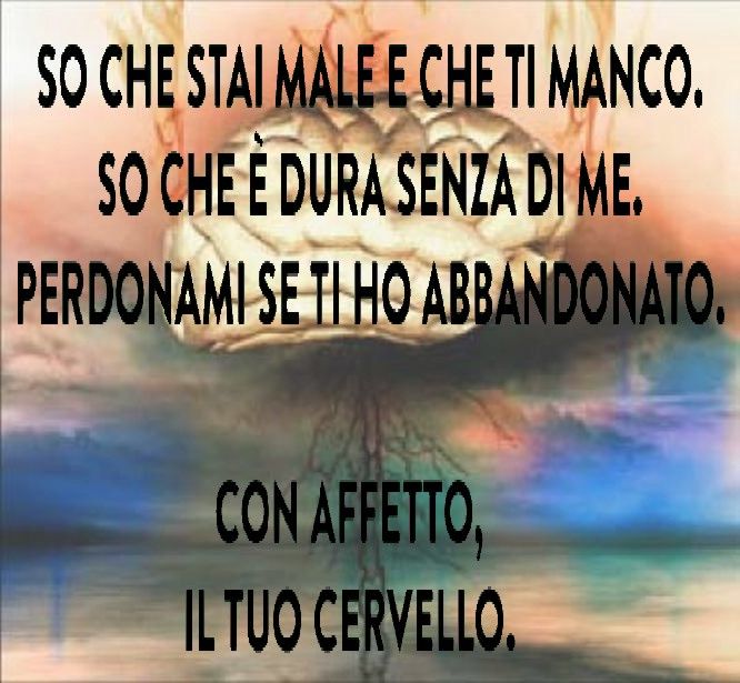 Tempesta_cervellixxx.jpg