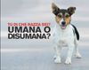 abbandono-animali.jpg