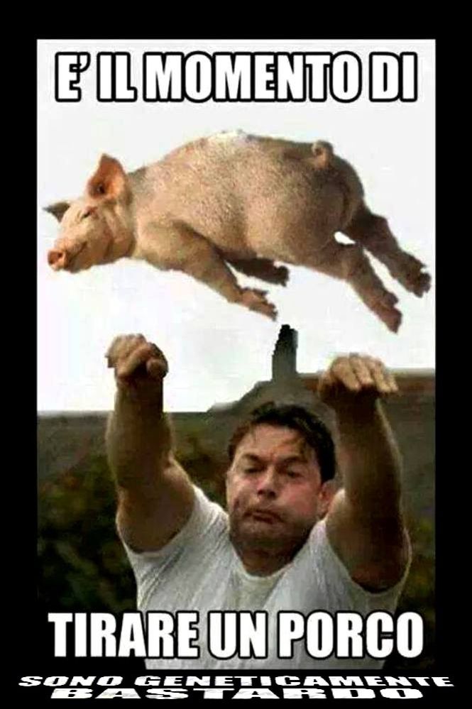 porc.jpg