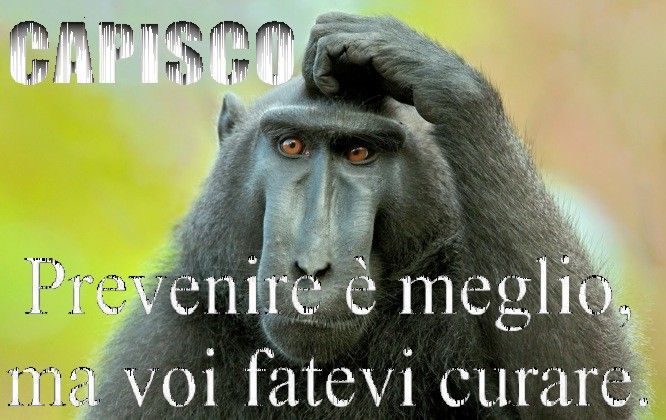 Scimmiamutx.jpg