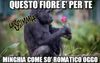 Tsehto1.jpg