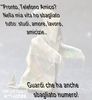 Fantasma.jpg