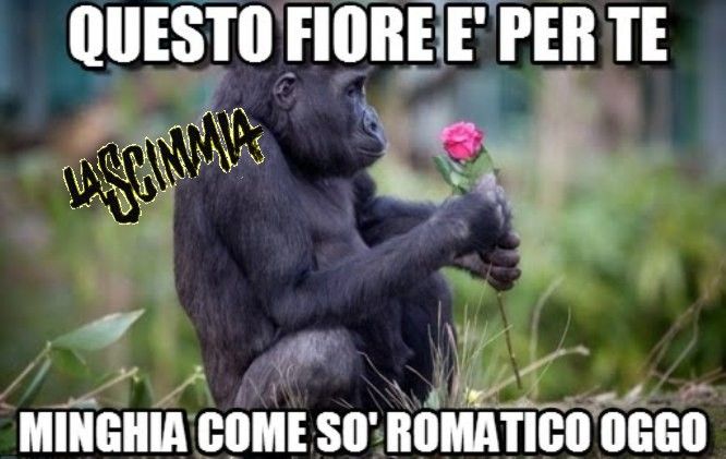 Tsehto1.jpg