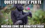 Tsehto1.jpg