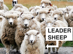 leadersheep.png