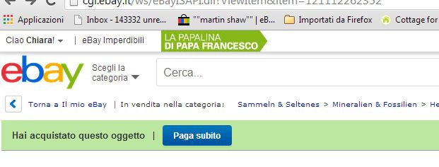 paga ora 1.jpg