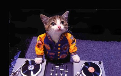 djcat.jpg
